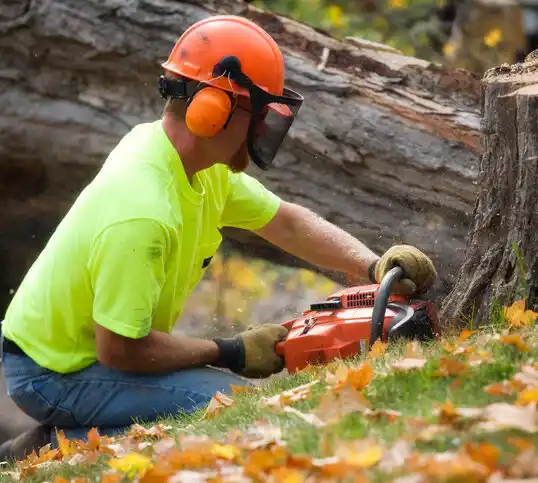 tree services Stewartsville